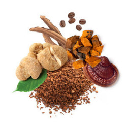 MycoMedica   MycoCoffee – kawa rozpuszczalna wzbogacona grzybami witalnymi  70 g / 20 saszetek