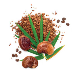 MycoMedica   MycoLatte – kawa rozpuszczalna wzbogacona Reishi  15 saszetek