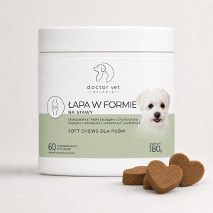 Doctor  Vet  Balance   Łapa w formie  – witaminy na stawy dla psa i kota  60 szt