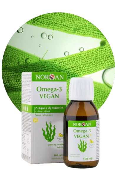 Norsan Omega-3 Vegan Roślinny olej z alg, bez dodatku ryb 100 ml